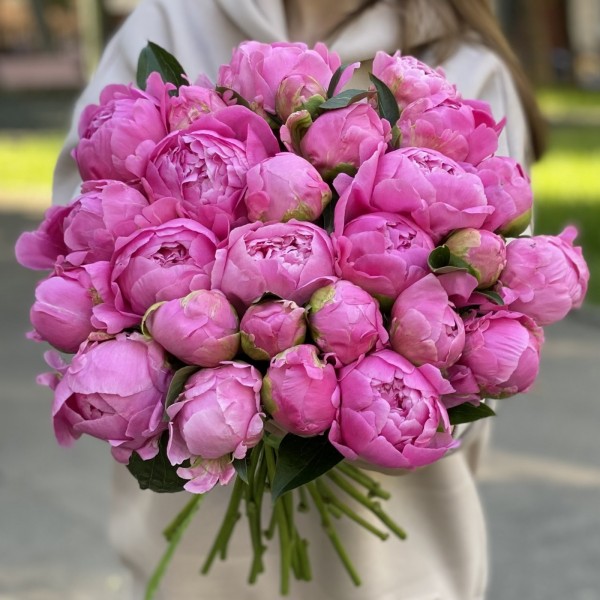 Пионы ярко-розовые Флеминг